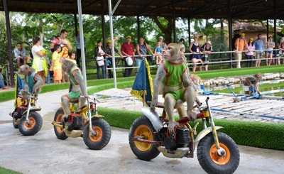 Cano Nha Trang – Du lịch Nha Trang