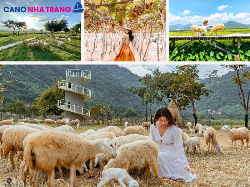 Cano Nha Trang – Du lịch Nha Trang